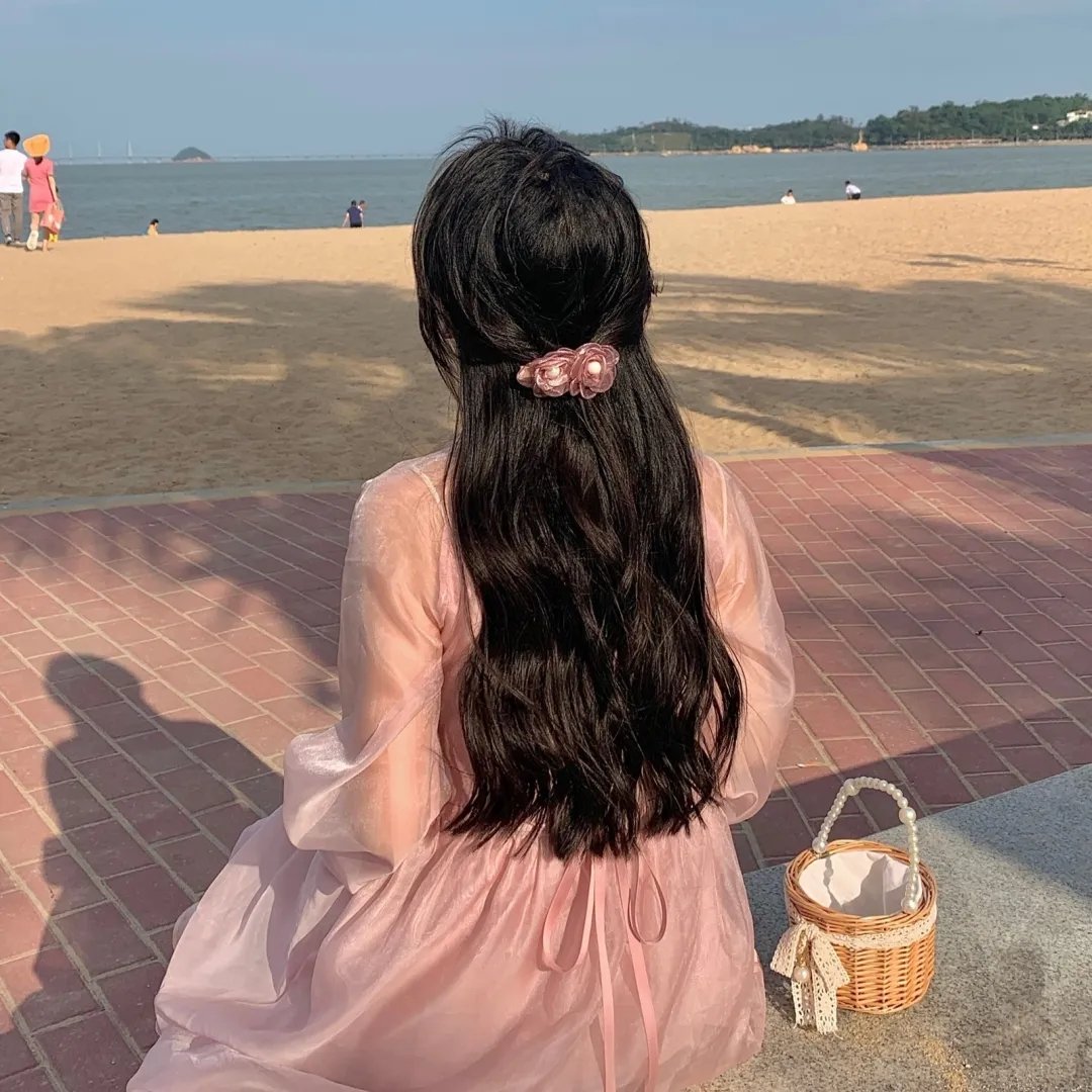 查理·布拉沃