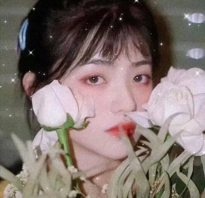 金厄姆的女孩